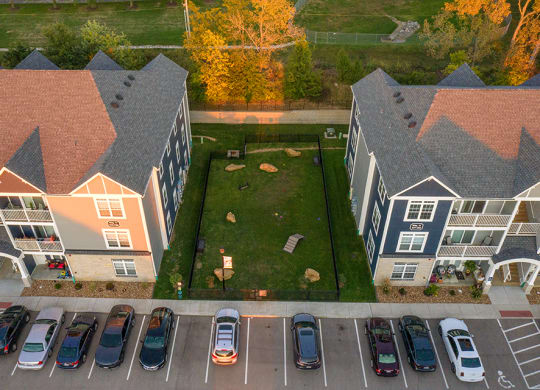 Aerial View Of The Dog Park