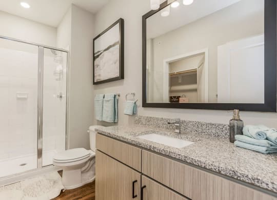 Bathroom With Granite Vanities