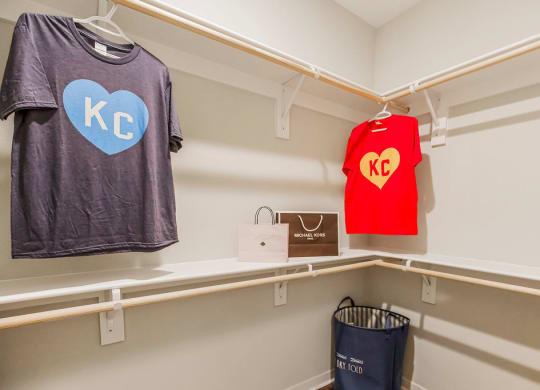 Large Closets with Shelves