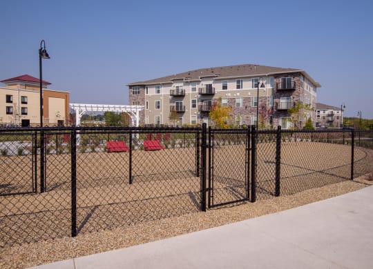 Fenced In Dog Park