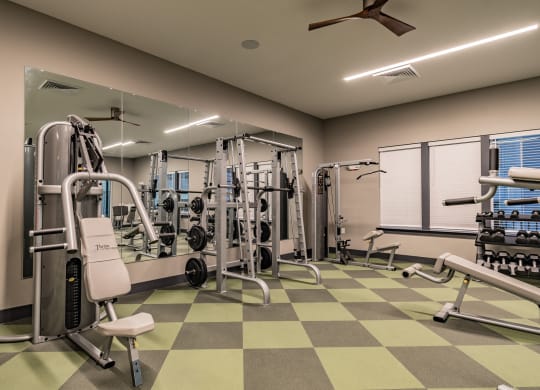 Gym With Strength Training Equipment