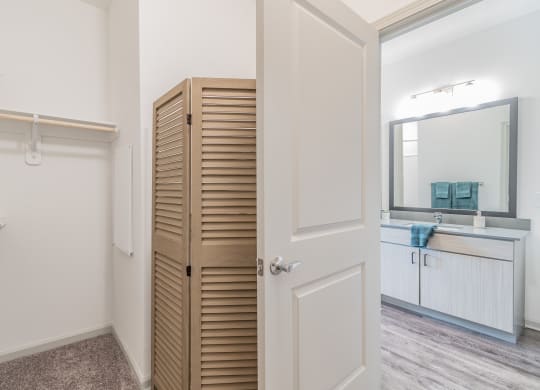 Spacious Walk-In Closet