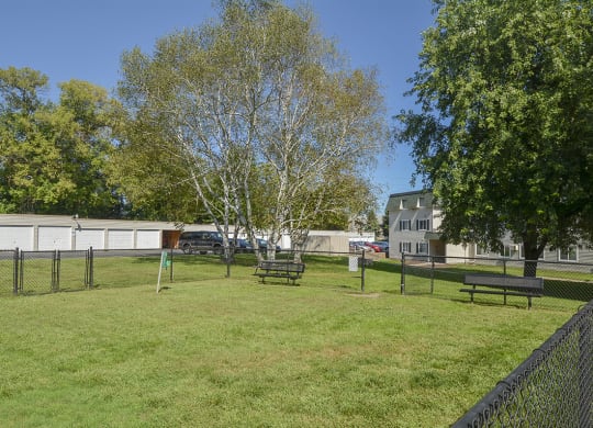 Large Fenced In Dog Park