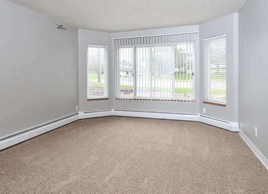 Spacious Living Area with Carpet