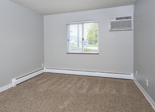 Bedroom with Plush Carpeting