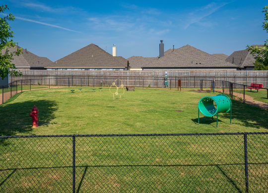 Dog Park with Play Structures