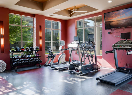 Cardio and Free Weight Equipment