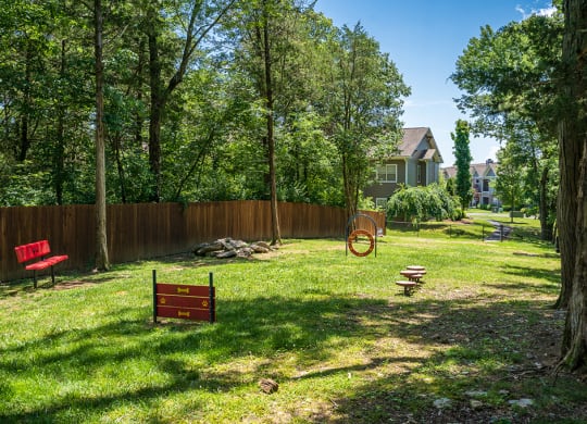 On-Premise Dog Park with Bench