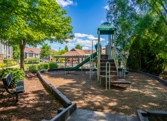 Playground Surrounded By Lush Greenery