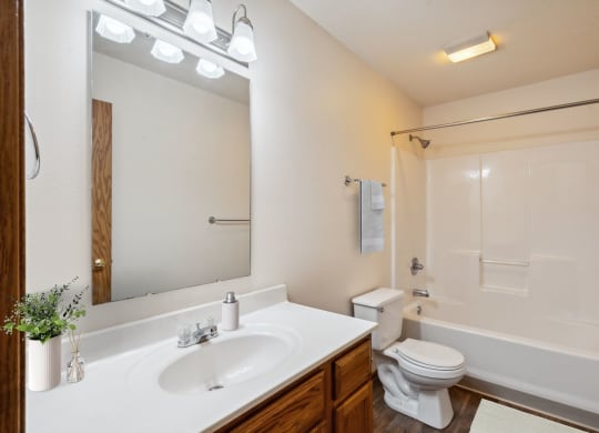Bathroom with Modern Finishes