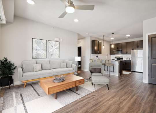 Spacious Living Area With Wood-Style Flooring