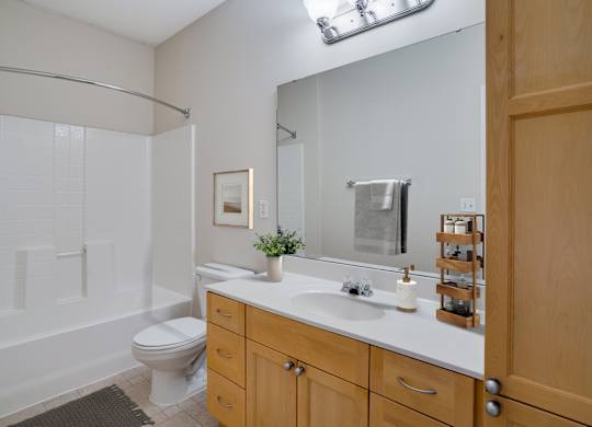 Bathroom with Wood cabinetry