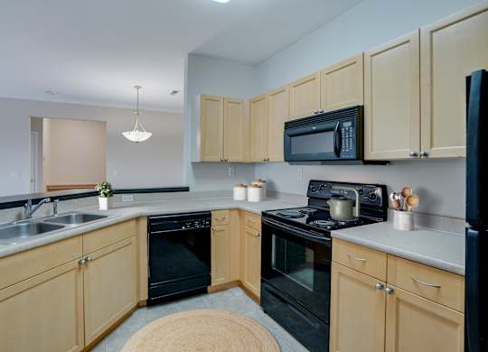 Kitchen with Black Appliances