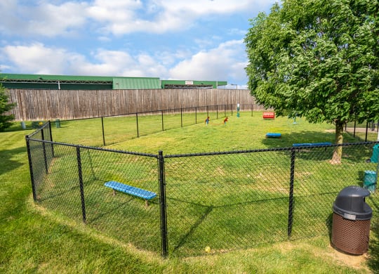 Fenced In Dog Park