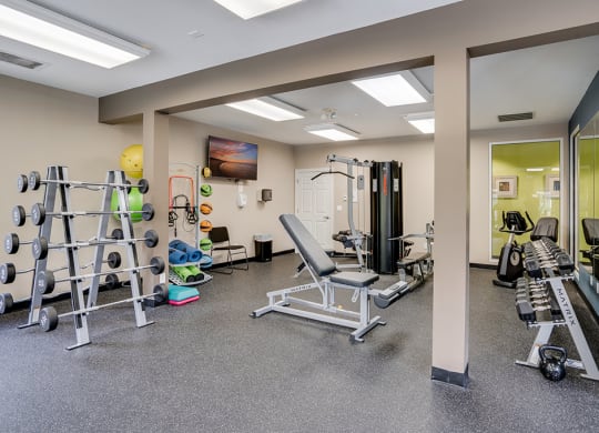 Large Free Weight Area at the Fitness Center