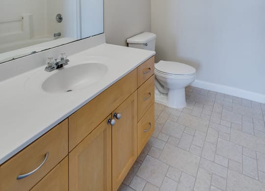 Large Bathroom Vanity with Storage