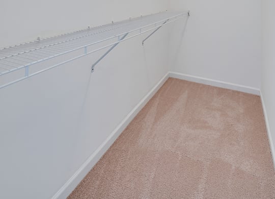 Large Walk In Closet with Multiple Shelves