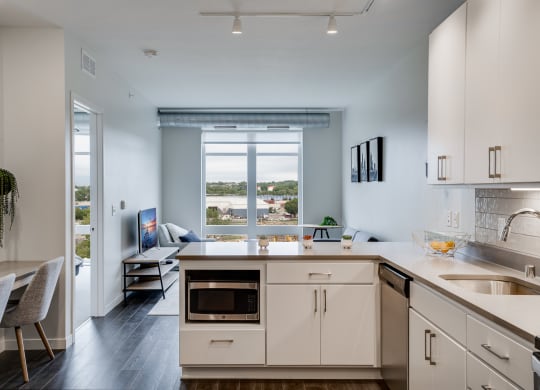 Stainless Steel Microwave and Dishwasher