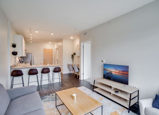 Open Concept Living Room and Kitchen