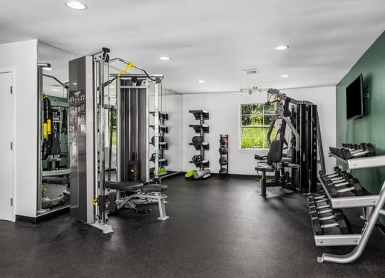 Strength Training Equipment & Free Weights At The Fitness Center