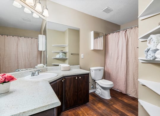Large Bathroom With Wood-Style Flooring & Large Countertop