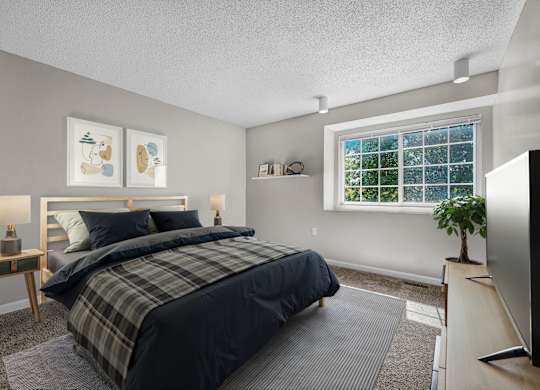 Bedroom with Abundant Natural Light