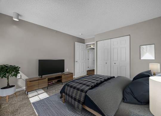 Bedroom with Plush Carpeting