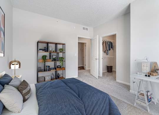 Bedroom With Walk-In Closet