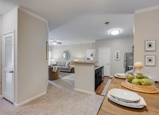 Open Concept Living  Room, Kitchen & Dining Area