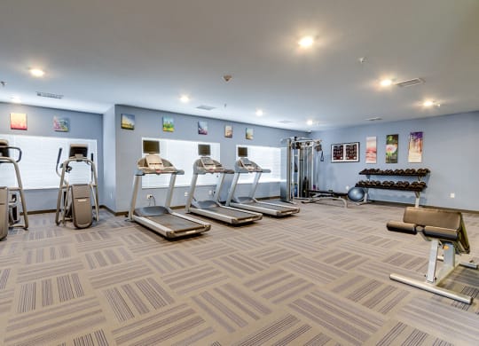 a gym with cardio machines and weights on the floor
