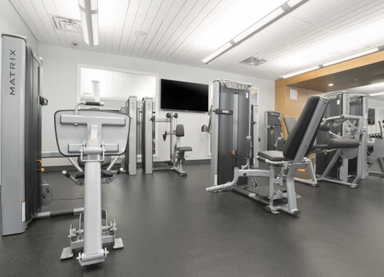 Strength Training Equipment In Fitness Center