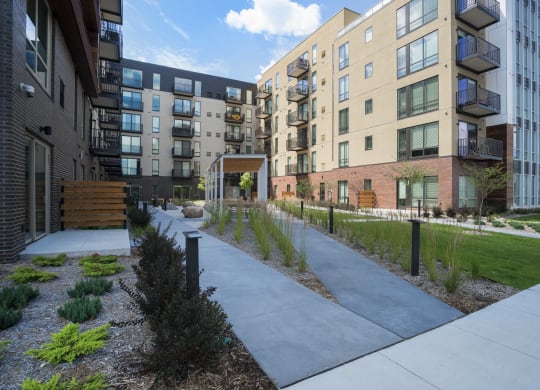 Outdoor Courtyard With Pergola