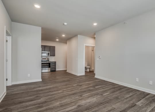 Spacious Living Area With Wood-Style Flooring