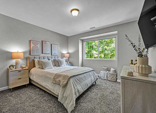 Large Bedroom with Overhead Lighting