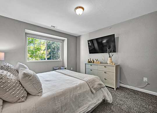 Bedroom with Large Window