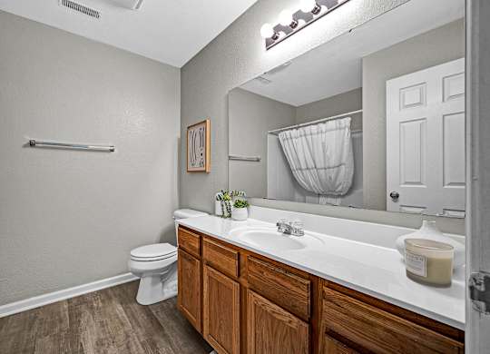 Bathroom with Large Vanity