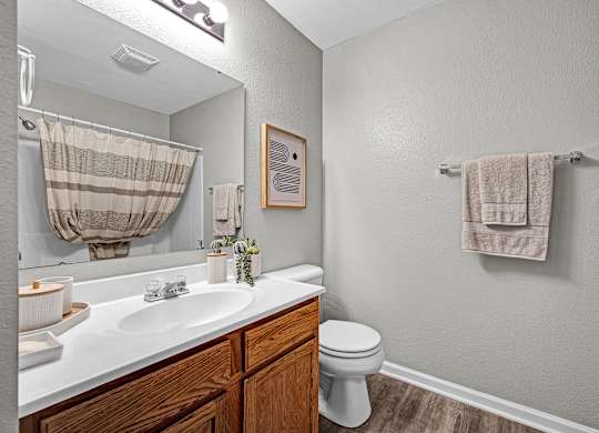 Bathroom With Wood-Style Flooring
