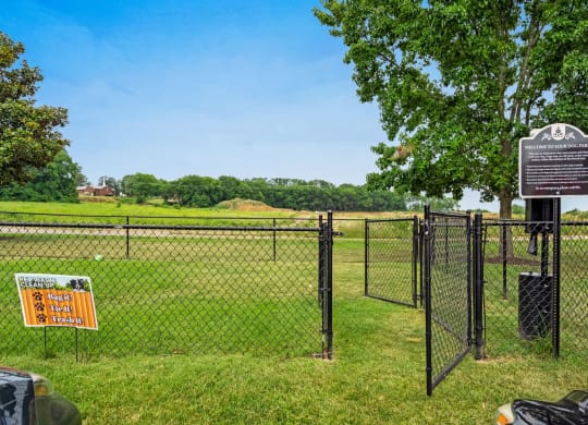 Dog Park