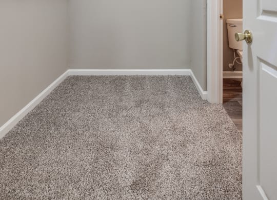 Spacious Walk-In Closet