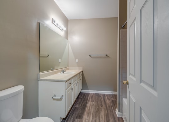 Bathroom With Wood-Style Flooring