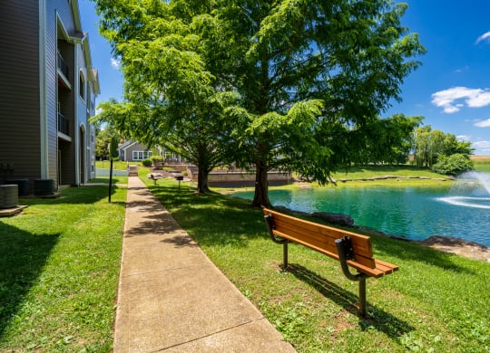 Sidewalk & Bench Along The Pond