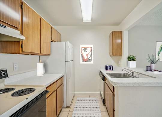 Kitchen with Wood Cabinets