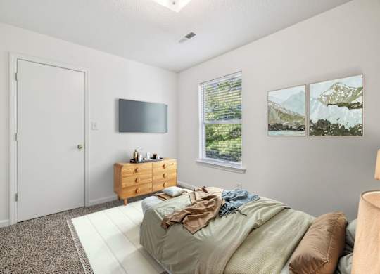 Bedroom with Plush Carpeting