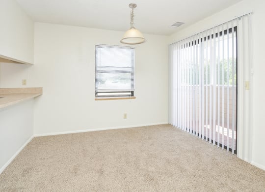 Patio or Balcony Sliding Doors in Living Room
