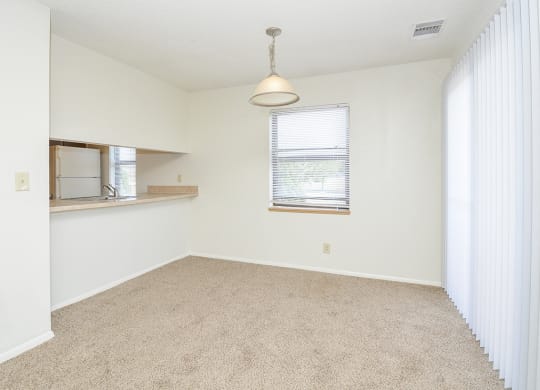 Open Layout of Living Room and Kitchen