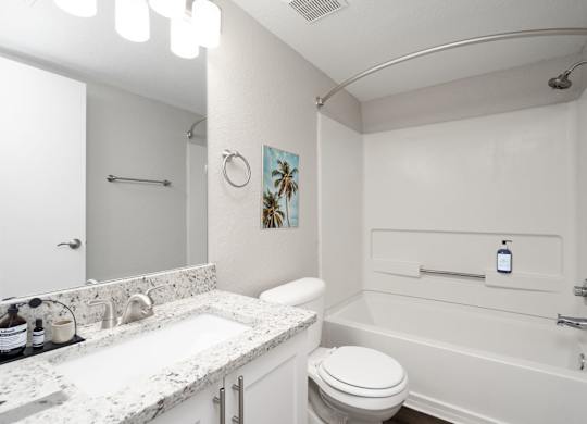 Bathroom with Modern Finishes