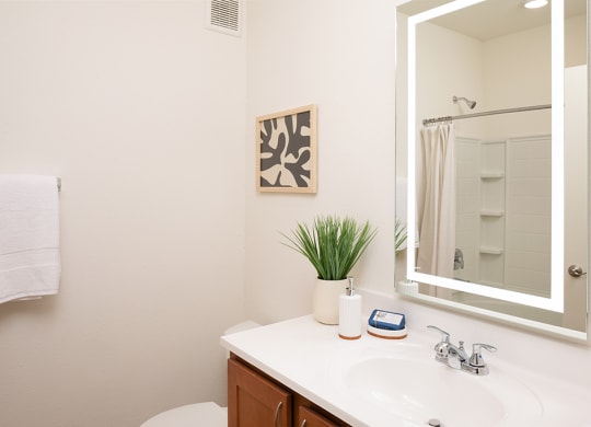 Back Lit Mirror with Large Bathroom Vanity