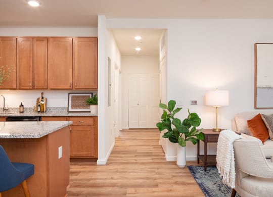 Spacious Hallway with Recessed Lighting
