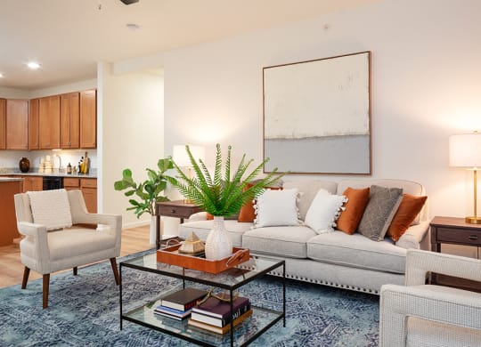 Large Open Concept Living Room