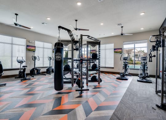 Large Weight Equipment at the Fitness Center